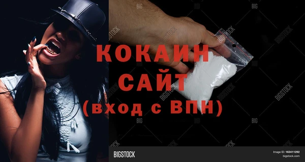 гашик Ельня