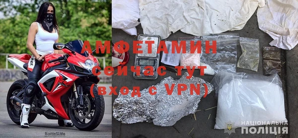 гашик Ельня