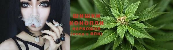 мяу мяу мука Елизово