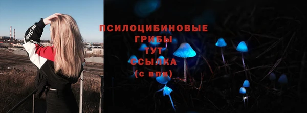 мяу мяу мука Елизово