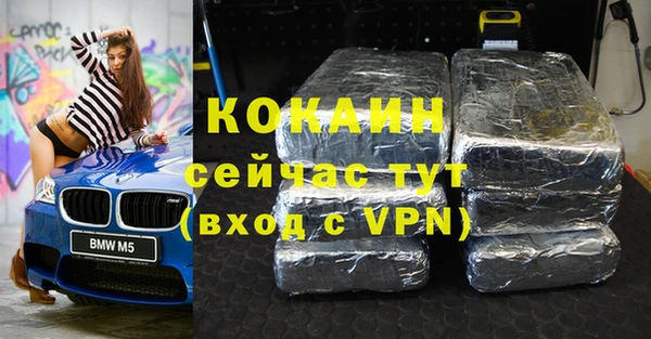 гашик Ельня