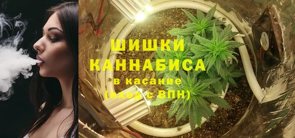 гашик Ельня