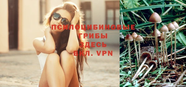 гашик Ельня