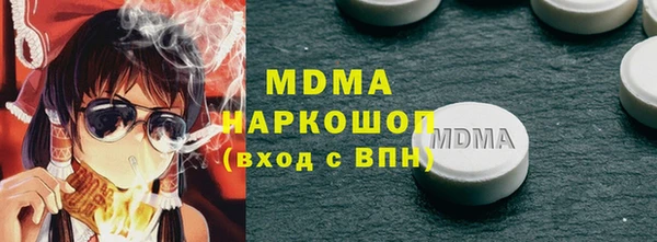 гашик Ельня