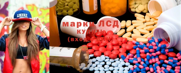 мяу мяу мука Елизово
