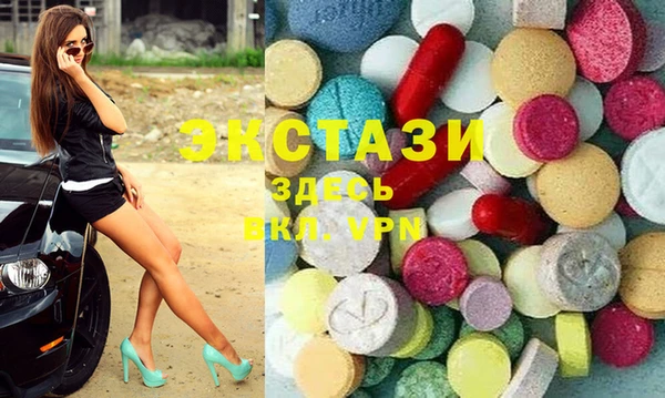гашик Ельня