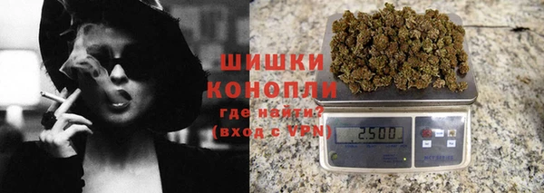 гашик Ельня