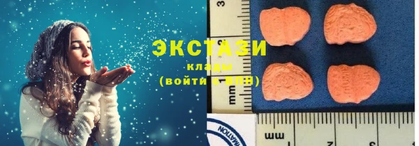 гашик Ельня