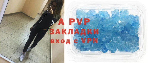 гашик Ельня