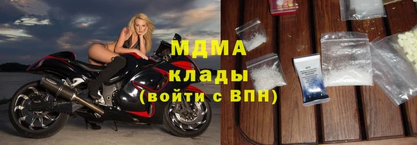гашик Ельня