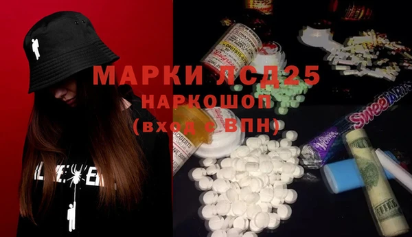 гашик Ельня