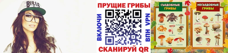 mega ONION  Жигулёвск  Псилоцибиновые грибы MAGIC MUSHROOMS 